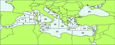 Mediterranean Sea: A Failure of the European Fisheries Management System